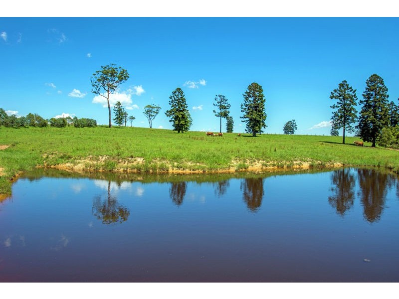 95 Camp Creek Road Lowanna, Coffs Harbour NSW 2450