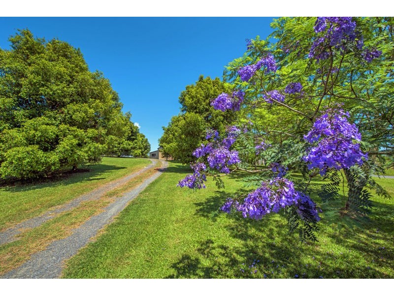 95 Camp Creek Road Lowanna, Coffs Harbour NSW 2450