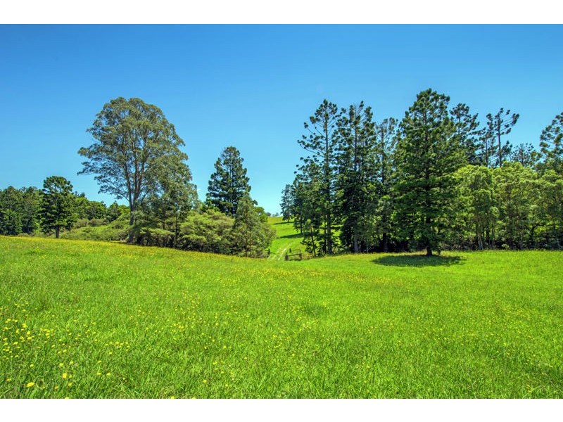 95 Camp Creek Road Lowanna, Coffs Harbour NSW 2450