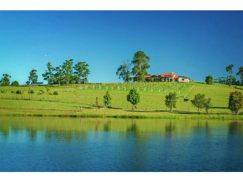 373 Mardells Road, Bucca NSW 2450