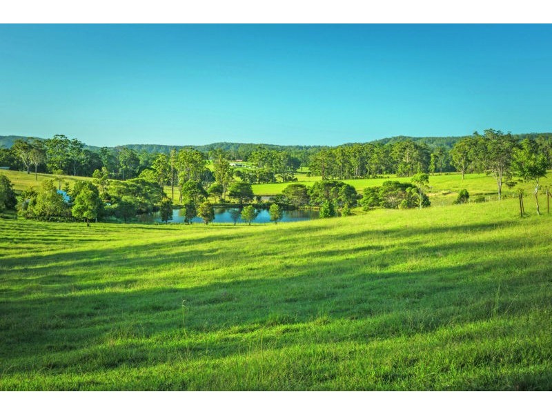373 Mardells Road, Bucca NSW 2450