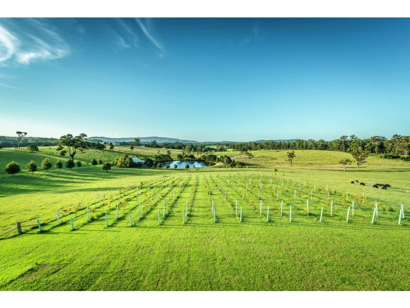 373 Mardells Road, Bucca NSW 2450