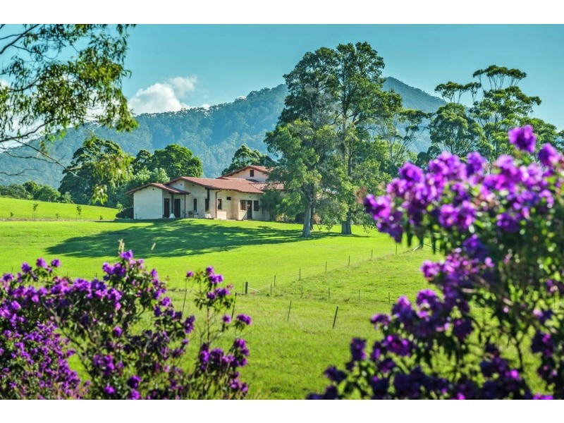 373 Mardells Road, Bucca NSW 2450