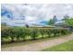 4 Figwood Drive, Bellingen NSW 2454