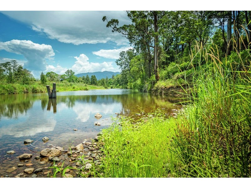 399 Summervilles Road, Thora, Bellingen NSW 2454