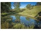 221 Old Brierfield Road, Bellingen NSW 2454