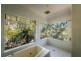 221 Old Brierfield Road, Bellingen NSW 2454