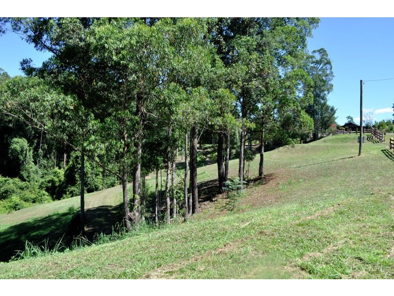 139 Mahers Road, Bellingen NSW 2454