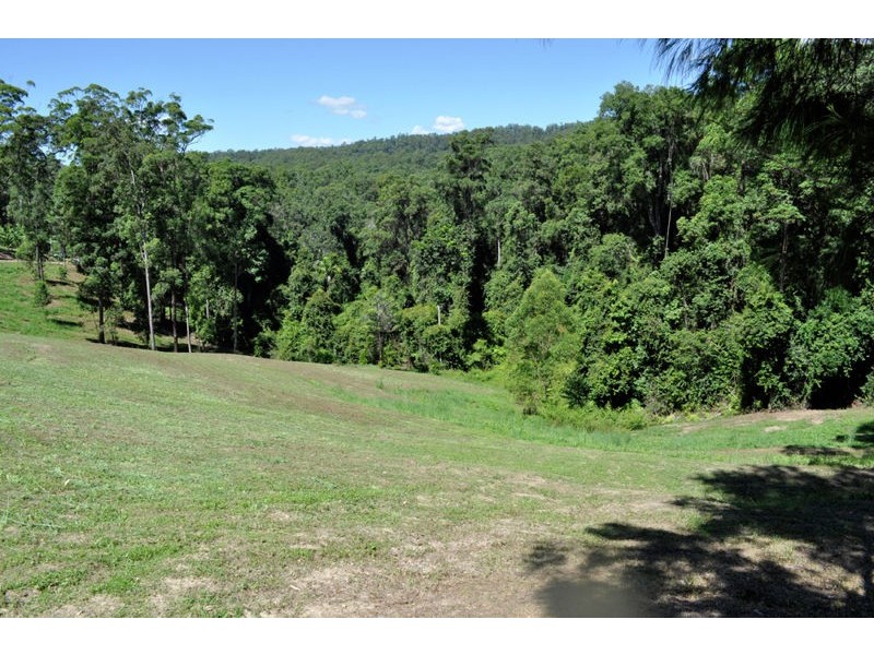 139 Mahers Road, Bellingen NSW 2454