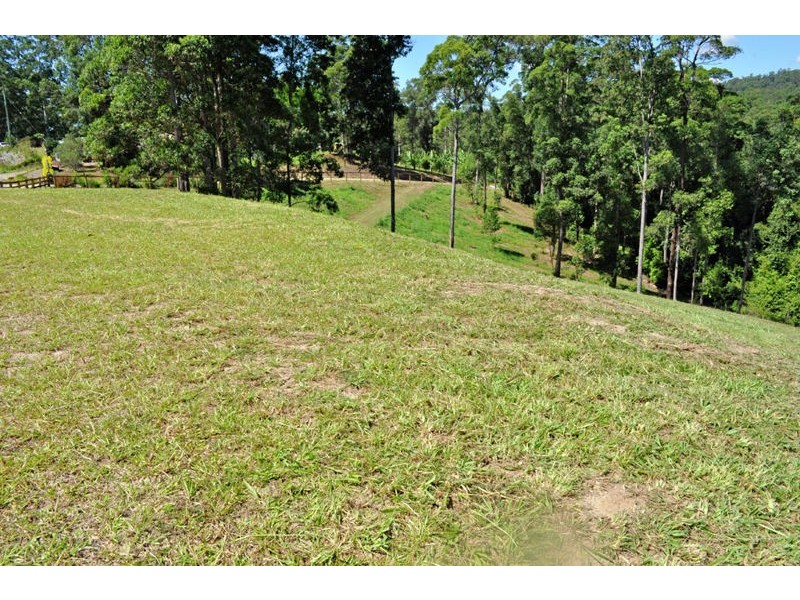 139 Mahers Road, Bellingen NSW 2454