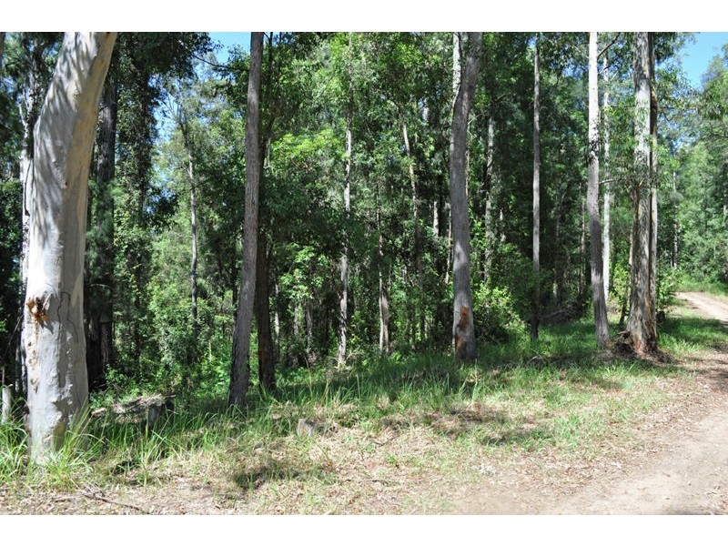 139 Mahers Road, Bellingen NSW 2454