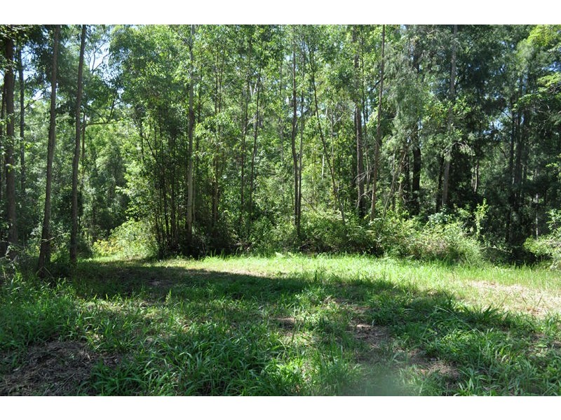 139 Mahers Road, Bellingen NSW 2454