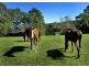 53 Burkes Lane, Valla NSW 2448
