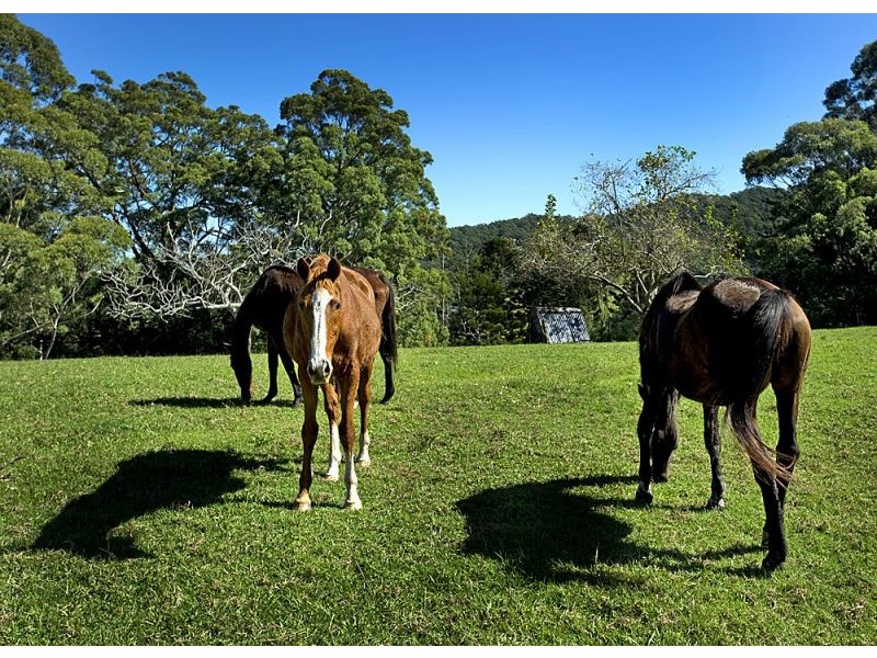 53 Burkes Lane, Valla NSW 2448