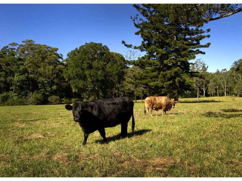 53 Burkes Lane, Valla NSW 2448