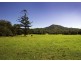 53 Burkes Lane, Valla NSW 2448