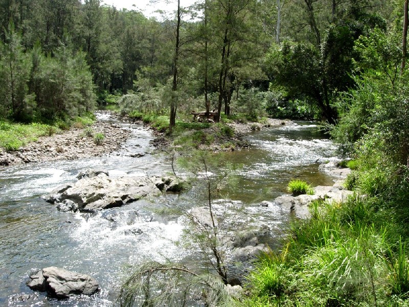 Bellingen NSW 2454