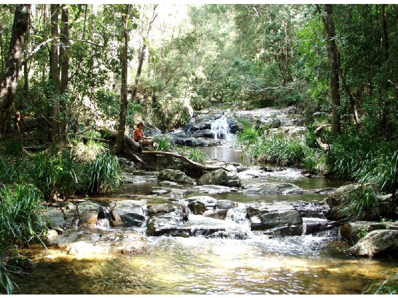 Bellingen NSW 2454