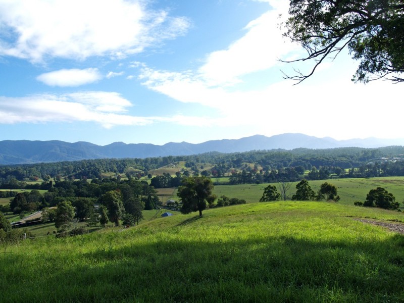 1333 Waterfall Way, Bellingen NSW 2454