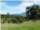 1333 Waterfall Way, Bellingen NSW 2454