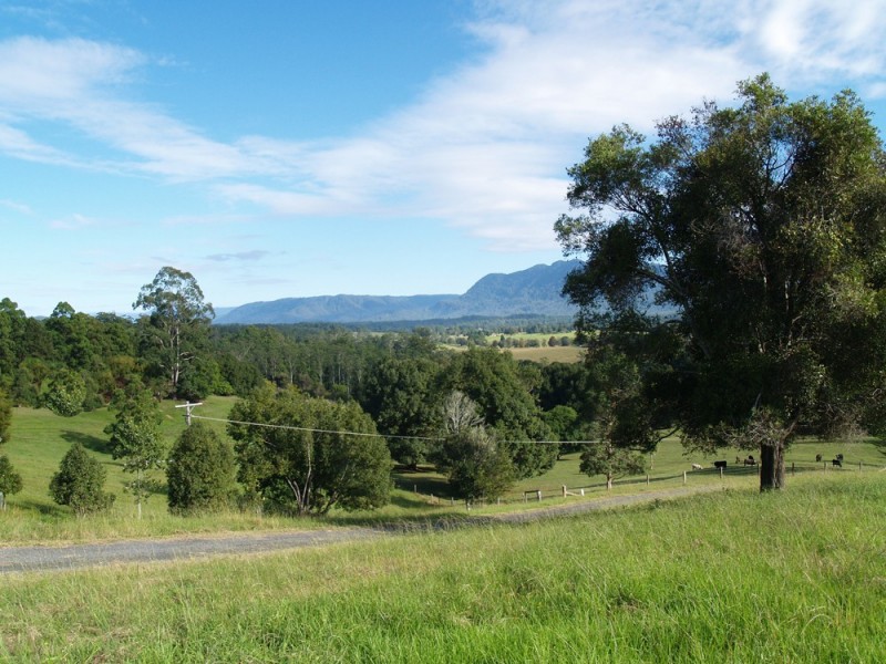1333 Waterfall Way, Bellingen NSW 2454