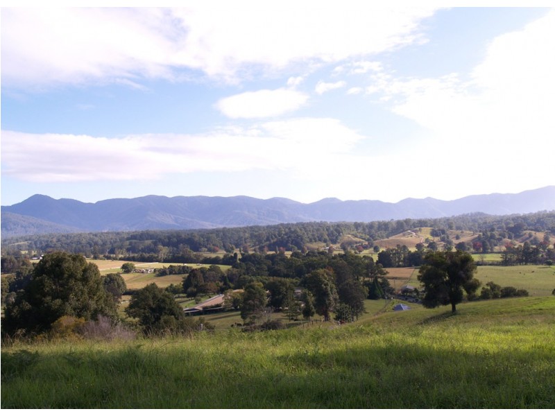 1333 Waterfall Way, Bellingen NSW 2454