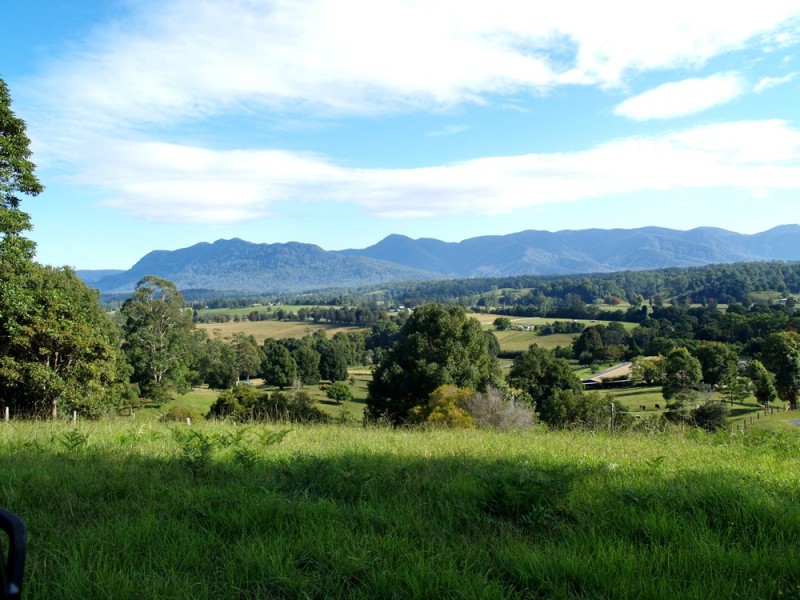 1333 Waterfall Way, Bellingen NSW 2454