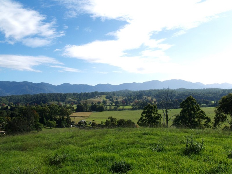 1333 Waterfall Way, Bellingen NSW 2454