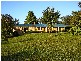 Bellingen NSW 2454