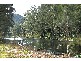 Bellingen NSW 2454