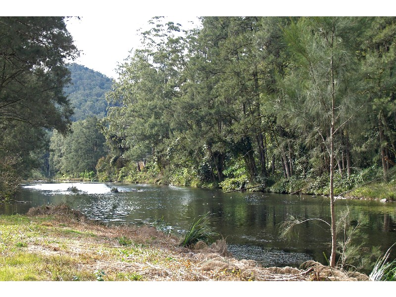 Bellingen NSW 2454