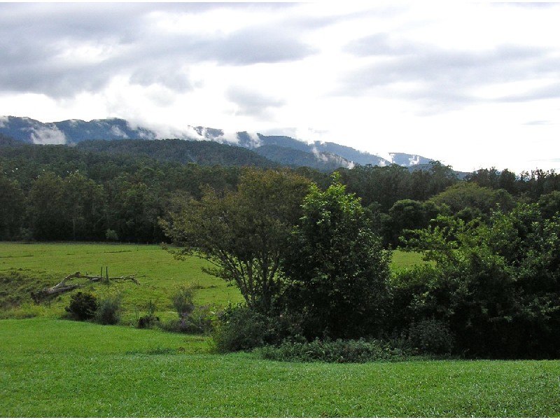 Bellingen NSW 2454