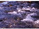 Bellingen NSW 2454