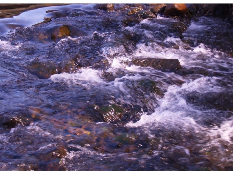Bellingen NSW 2454