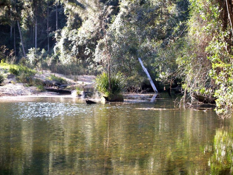 548 Kalang Road, Bellingen NSW 2454