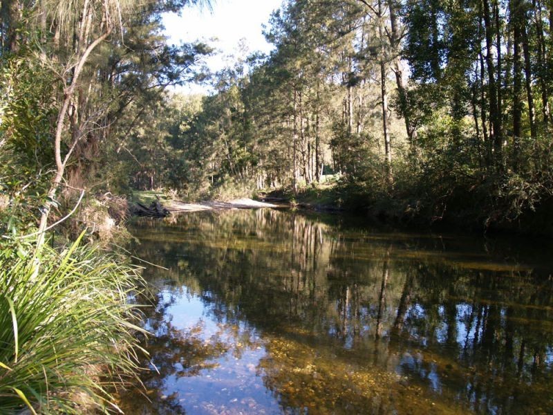 548 Kalang Road, Bellingen NSW 2454