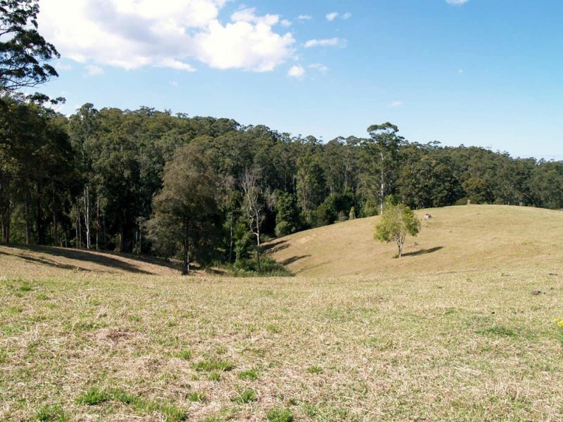 548 Kalang Road, Bellingen NSW 2454