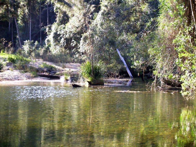 527 Kalang Road, Bellingen NSW 2454