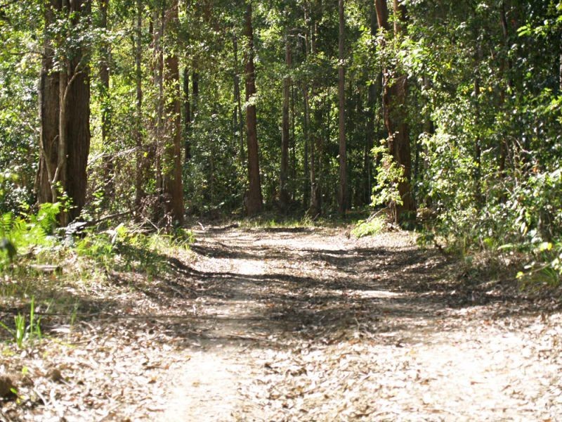 527 Kalang Road, Bellingen NSW 2454