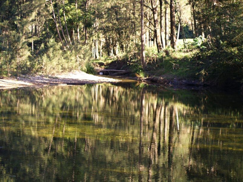 527 Kalang Road, Bellingen NSW 2454