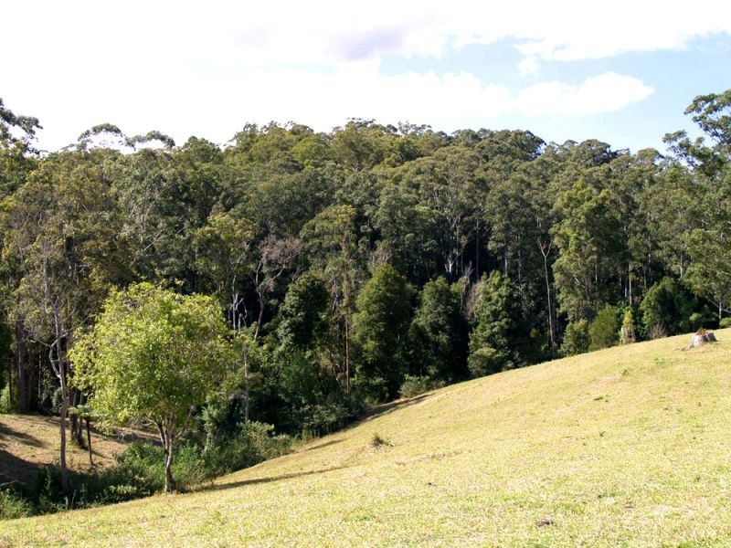 527 Kalang Road, Bellingen NSW 2454