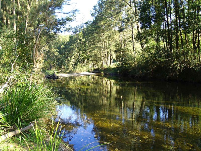 527 Kalang Road, Bellingen NSW 2454