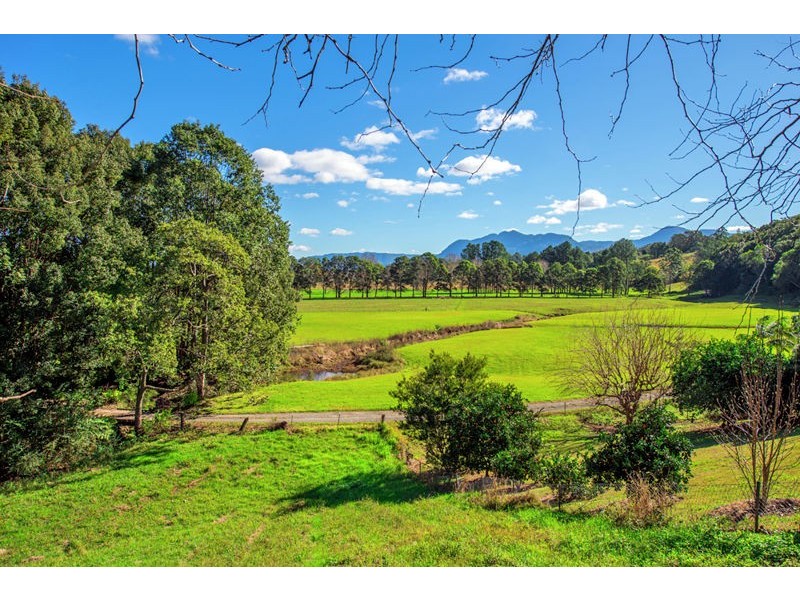 8 Hobson Close, Bellingen NSW 2454