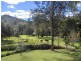 2287 Darkwood Road, Thora, Bellingen NSW 2454