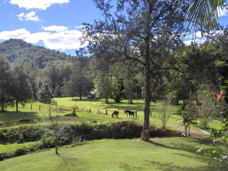 2287 Darkwood Road, Thora, Bellingen NSW 2454