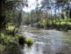 2287 Darkwood Road, Thora, Bellingen NSW 2454