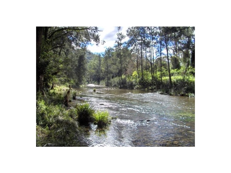 2287 Darkwood Road, Thora, Bellingen NSW 2454