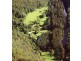 2287 Darkwood Road, Thora, Bellingen NSW 2454