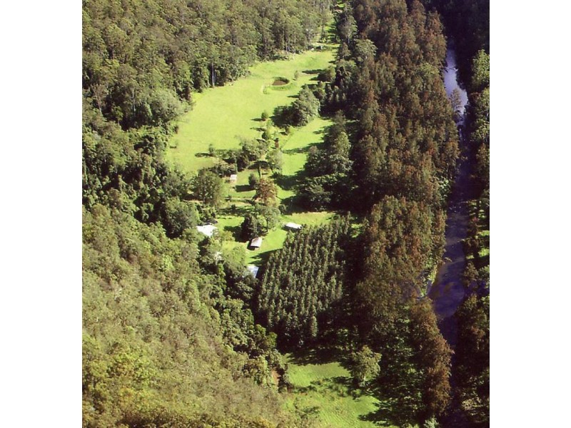 2287 Darkwood Road, Thora, Bellingen NSW 2454