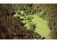 2287 Darkwood Road, Thora, Bellingen NSW 2454